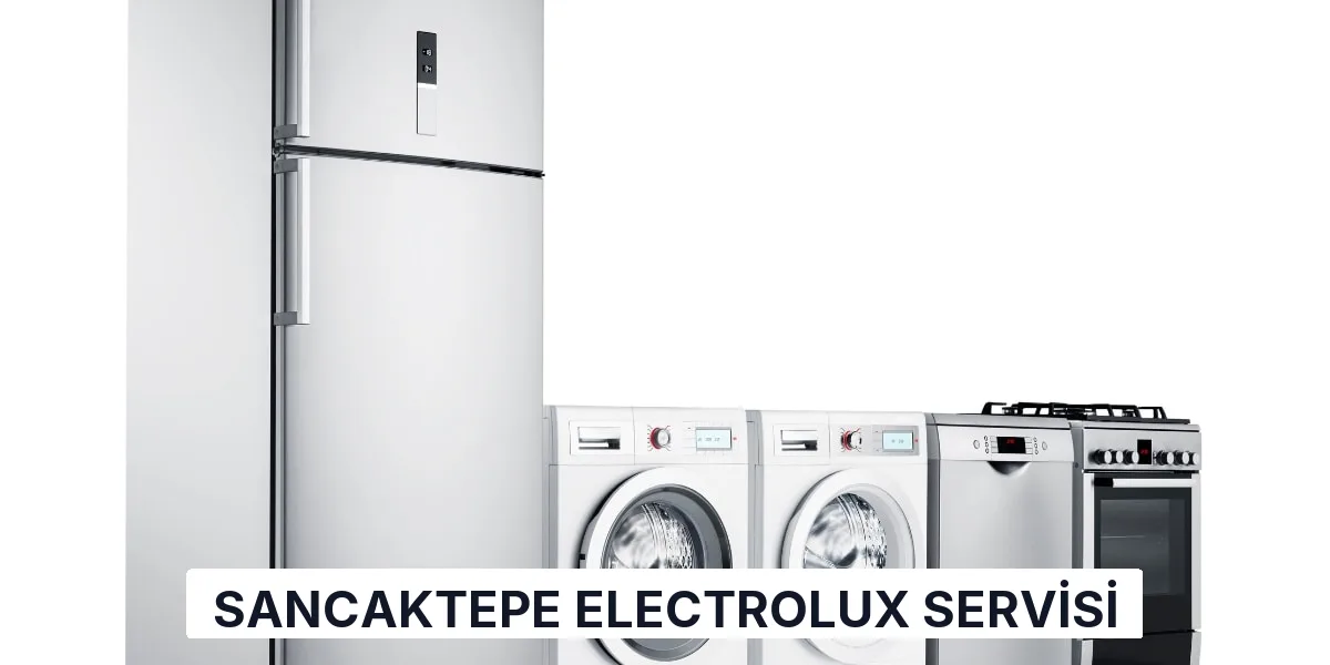 Sancaktepe Electrolux Servisi