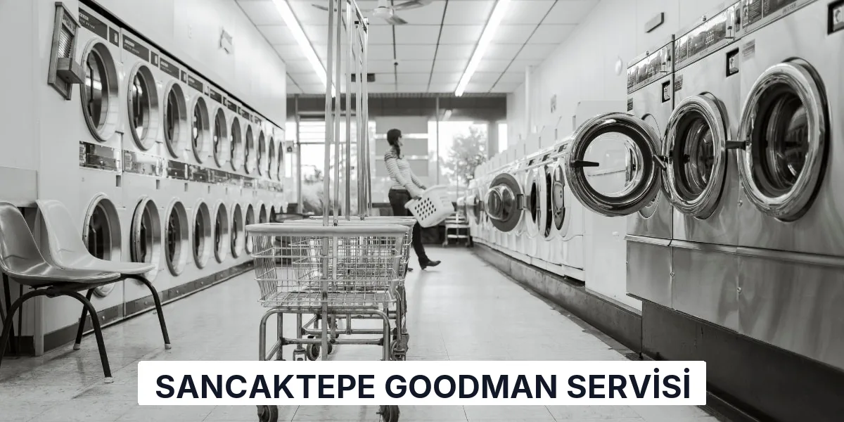 Sancaktepe Goodman Servisi