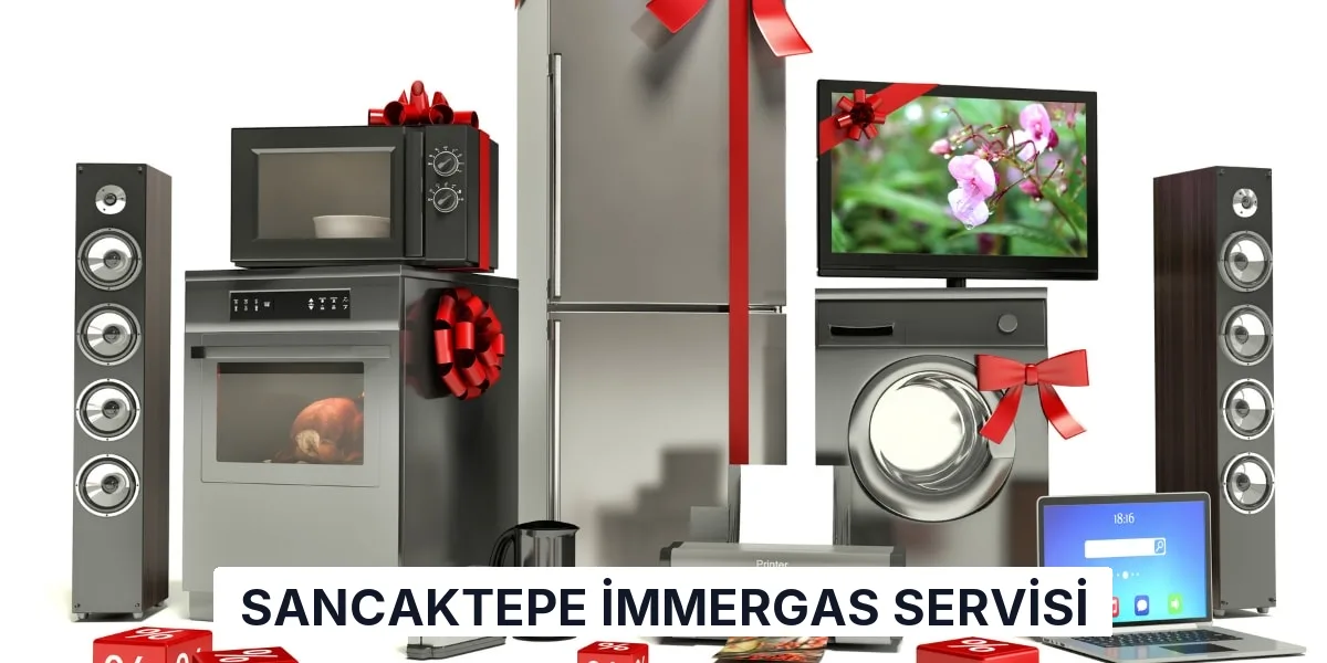 Sancaktepe İmmergas Servisi